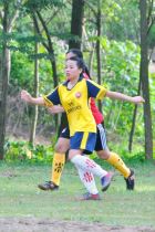 Giải bóng đá tỉnh Tuyên Quang năm 2017