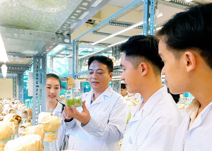 Có vai trò quan trọng trong đảm bảo an ninh lương thực, khối ngành nông-lâm-thủy sản vẫn kém hấp dẫn